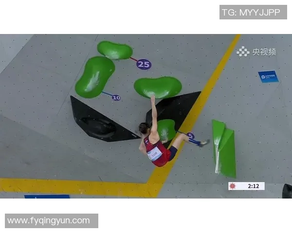 武汉攀岩队勇攀高峰荣获全国攀岩节奏排行榜第八名 武汉攀岩队勇攀高峰荣获全国攀岩节奏排行榜第八名